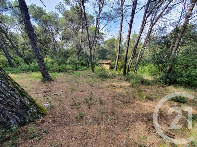 terrain à vendre - 20528.0 m2 - PUJAUT - 30 - LANGUEDOC-ROUSSILLON - Century 21 Saint Marc Immobilier