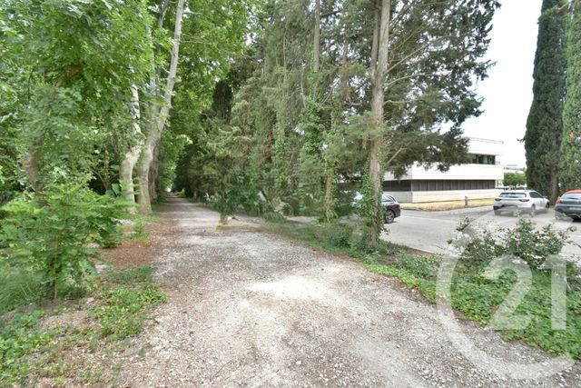 entreprise à louer - 25.0 m2 - AVIGNON - 84 - PROVENCE-ALPES-COTE-D-AZUR - Century 21 Saint Marc Immobilier